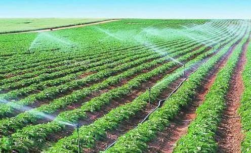 乱日屄视频在线观看农田高 效节水灌溉